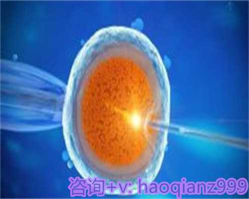 北京供卵血型要求,(北京供卵试管婴儿)枣庄供卵试管婴儿医院排名