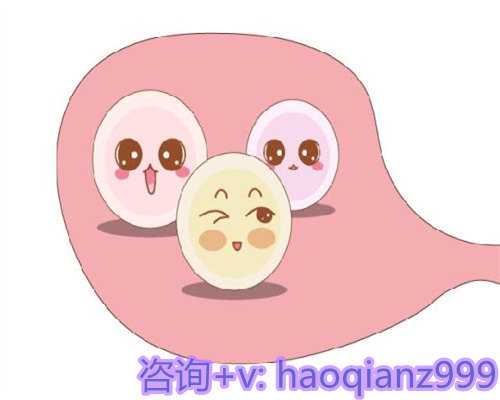 北京供卵一站式服务,北京供卵试管供卵生子医院排名