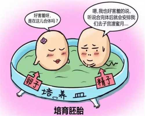 北京供卵试管经验多少钱（北京供卵生殖医院）