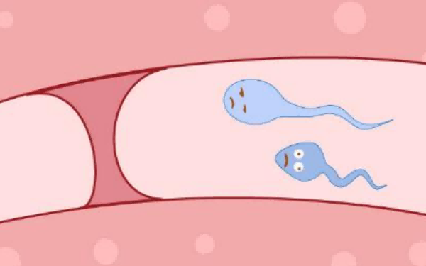 化妆与怀孕：备孕时期的美丽与健康指南