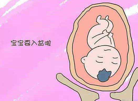 北京正规代孕多少钱，北京捐卵供卵中介机构,北京正规捐卵多少钱