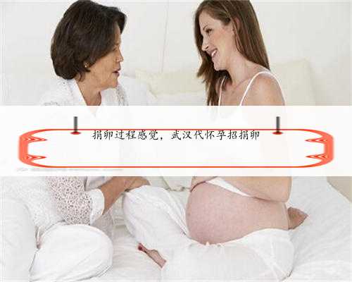 <b>捐卵过程感觉，武汉代怀孕招捐卵</b>