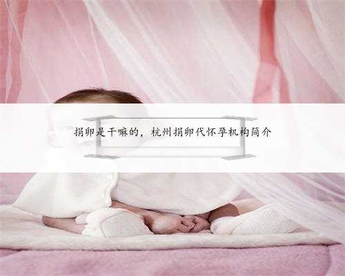 捐卵是干嘛的，杭州捐卵代怀孕机构简介