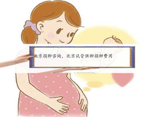 北京捐卵咨询，北京试管供卵捐卵费用
