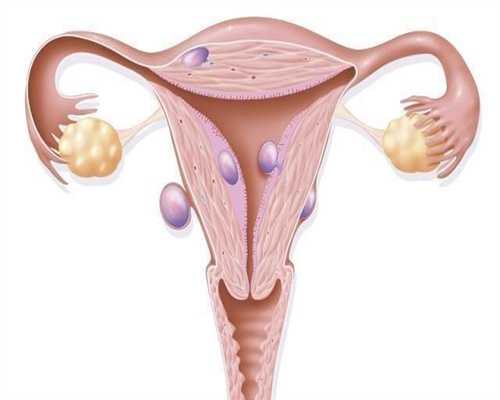 女性排卵期身体会发出哪些预兆