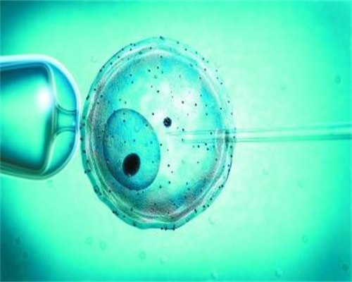 有谁需要捐卵：青岛助孕专家于萍：卵巢储备功