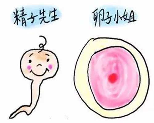 捐卵试管婴儿成功经验：多囊性卵巢综合征伴有