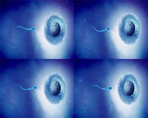 赤峰市林西哪里能捐卵子：多囊卵巢的B超报告怎
