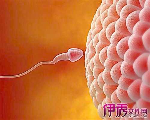 北京 捐卵：阜阳一高校女厕惊现买卵、代孕广告
