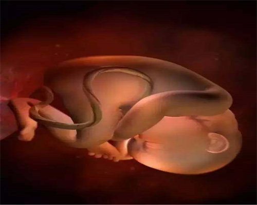 杭州哪个医院可以捐卵：好孕是怎么来的？人类
