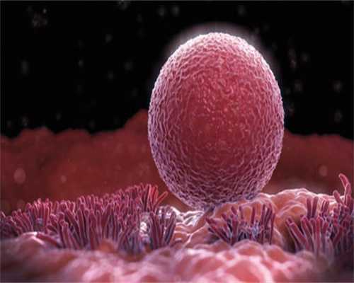 大学生捐卵子死亡：排卵后如果没有与精子结合