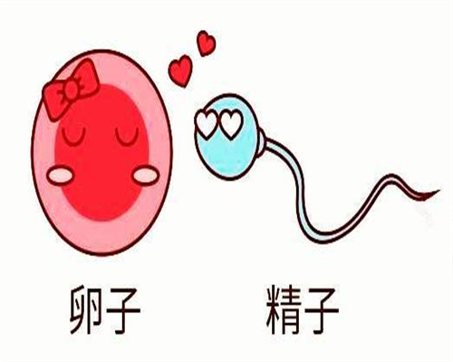 广西自助捐精捐卵群:“禁止代孕”条款被删除？
