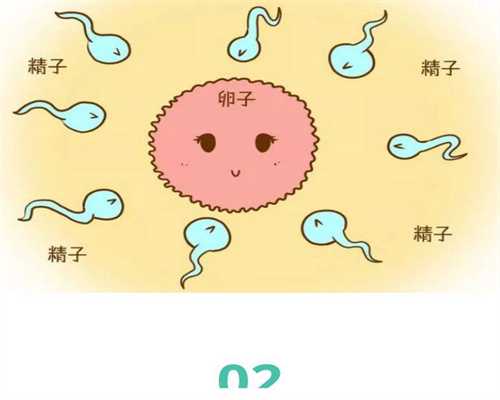 捐卵宝宝亲妈:广州捐卵机构助万千女性圆梦
