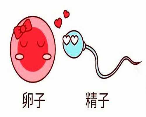 日本捐卵试管:捐卵在生活中的重要应用