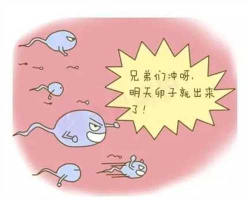 广州捐卵价格:社会问题推动广州捐卵迎来新春天