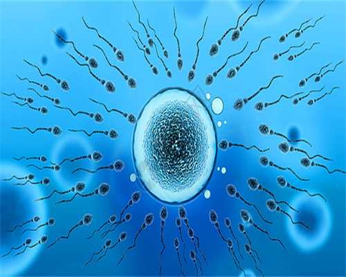 试管婴儿的囊胚和冷冻胚胎有什么区别？