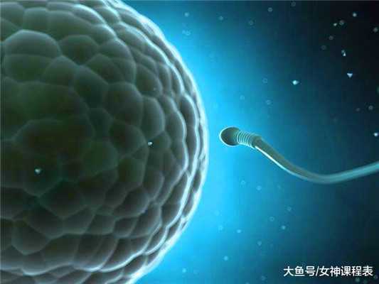 试管代孕婴儿广州捐卵中心~取卵前后注意事项