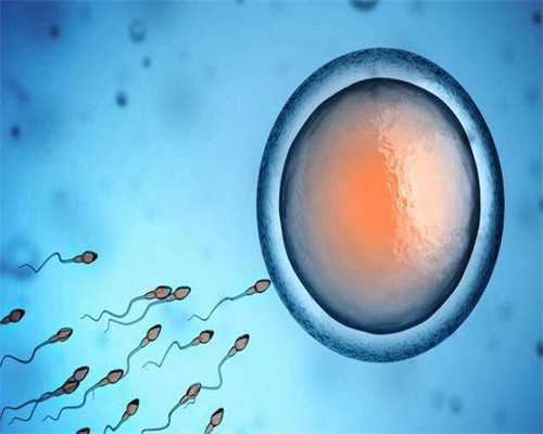 <b>浙江捐卵_卵泡的质量，可以为试管婴儿的胚胎着床加分吗？</b>