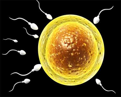 大同捐卵_什么是卵巢囊肿什么是卵泡？