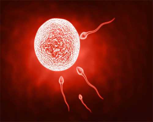 玉林捐卵子_男性精子VS女性卵子的生理特征