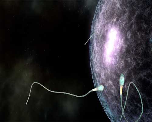 二胎捐卵_依托专业武汉捐卵服务提高人工受孕概率