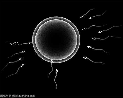 贵阳捐卵机构_男性精子不液化，能做试管婴儿吗？