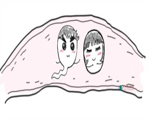 重庆捐卵_刨宫产手术，你了解多少？