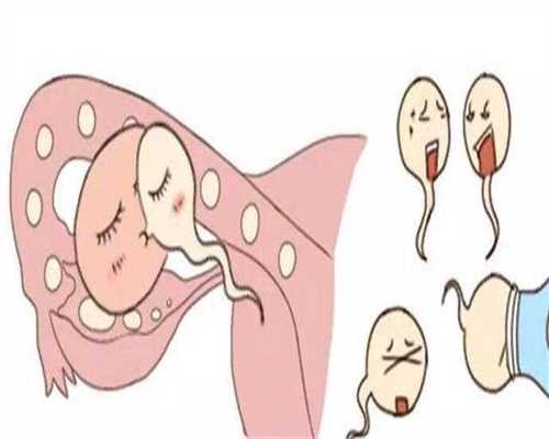曲靖捐卵网_卵巢早衰有卵子可以试管吗37岁卵巢早衰 试管婴儿