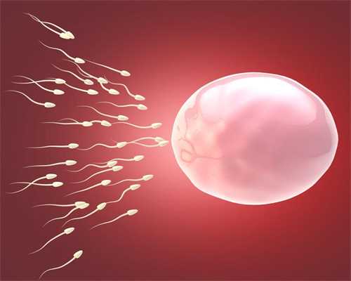 曲靖华裔捐卵~不受精，是精子还是卵子的错？