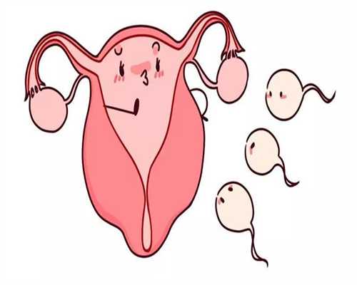 兰州哪有捐卵~试管婴儿受精困难，精子还是卵子该“背锅”？