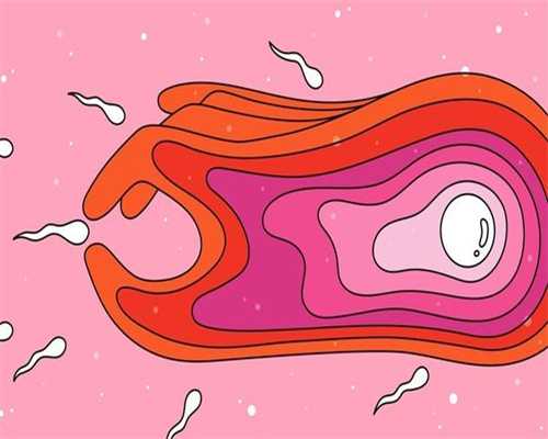 鞍山志愿者捐卵网,不孕不育前景：卵巢干细胞