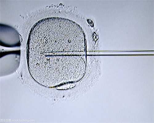 北海捐卵的方式_月经量减少是不是就是卵巢早衰了？这时候想要生子只能靠试管婴儿了吗？