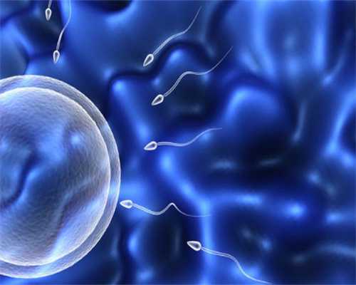 澳门代孕捐卵~美国试管婴儿卵子质量的重要性