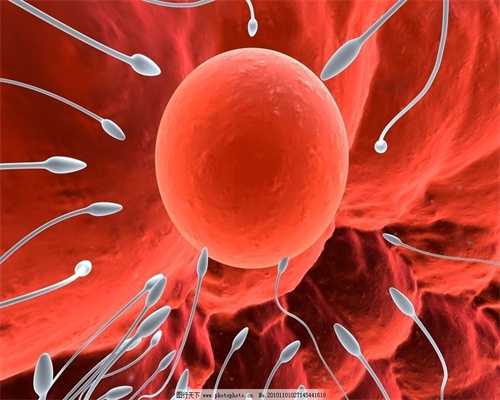 FOXL2评估卵巢储备功能的临床应用