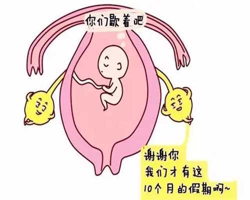 海外捐卵代孕具体流程