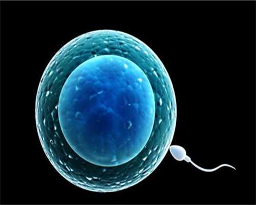 试管怎样捐卵~广州供卵试管第三代试管婴儿之助力IVF好孕建议