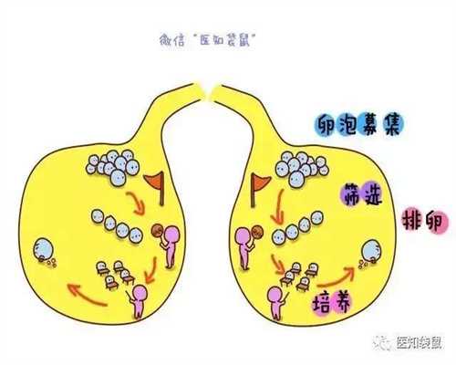 南京捐卵平台-45岁的佘诗曼最近欧阳震华提醒佘诗曼冷冻卵子上了热搜