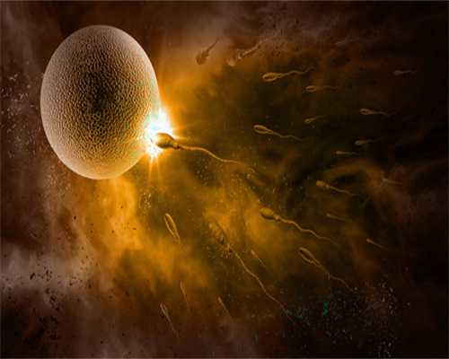丰台在哪捐卵-AMH值下降你的卵巢里，还剩下多少卵子？