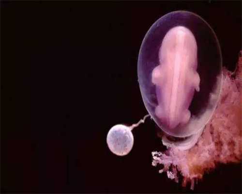 安徽本地捐卵_昆明助孕试管婴儿胚胎移植后，准妈妈该如何养护卵巢？_1