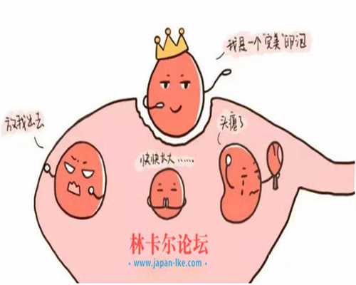丰台中国捐卵女孩,广州供卵试管试管注意事项之囊胚移植后自我管理