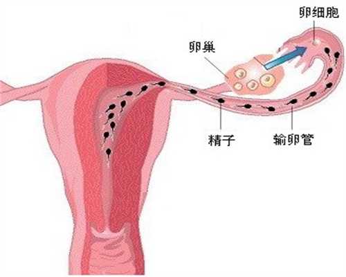 南通捐卵库-有几卵巢早衰供卵有身几周减药宁静卵巢早衰第三代试管婴儿龙凤