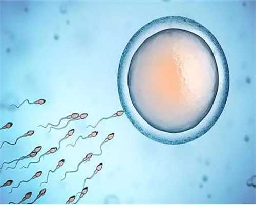 珠海急聘捐卵-卵巢早衰试管ppos方案卵巢早衰试管婴儿卵泡少