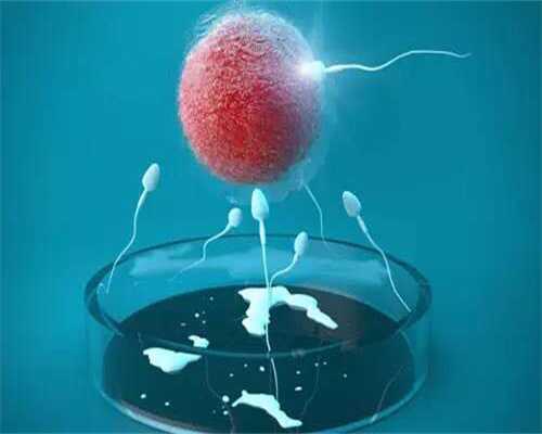 印度捐卵价钱，概述卵母细胞的获取之阴道取卵术_1