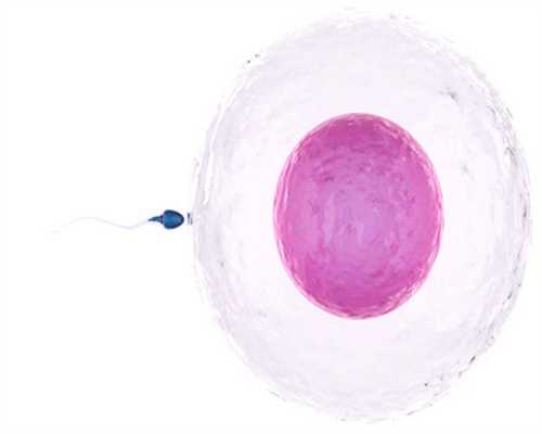 加州正规医院捐卵-保护卵巢功能的小窍门？