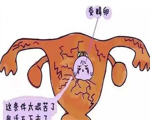 益阳捐卵包成功~广州供卵试管试管婴儿技术能够解决卵子数量和质量问题吗？