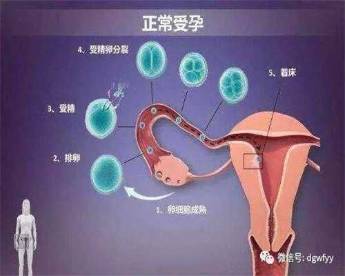 惠州大学生捐卵_宝宝爱选性别试管长沙卵巢早衰生孩子供卵助孕中心年齿能否