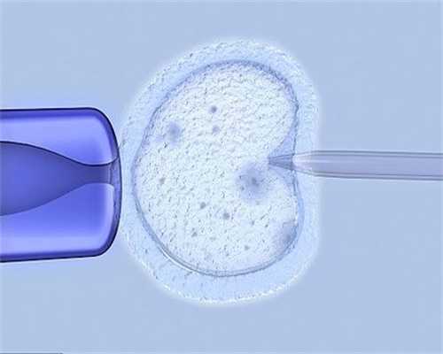 西宁义务捐卵_理吗精子的发生以及结构介绍卵巢早衰准备试管可以中药调_1