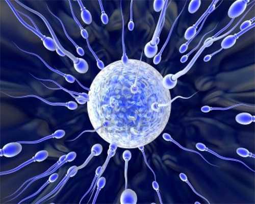 温州有偿捐卵群-不孕不育诱发多囊卵巢出现的原因_1