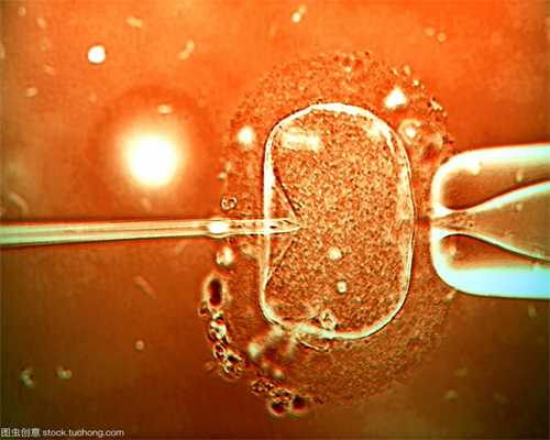 肇庆捐卵机构_试管婴儿取卵后一般会有多少个受精卵