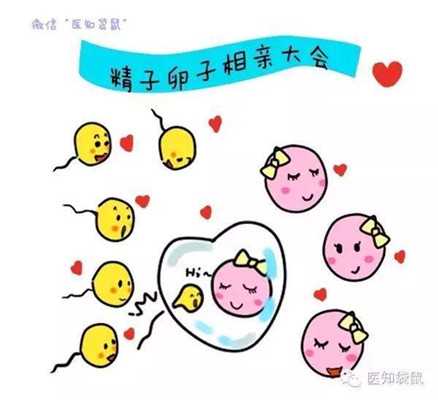 北京供卵试管中心-北京双胞胎代生网地址-【来不孕不育基地，好孕当头】